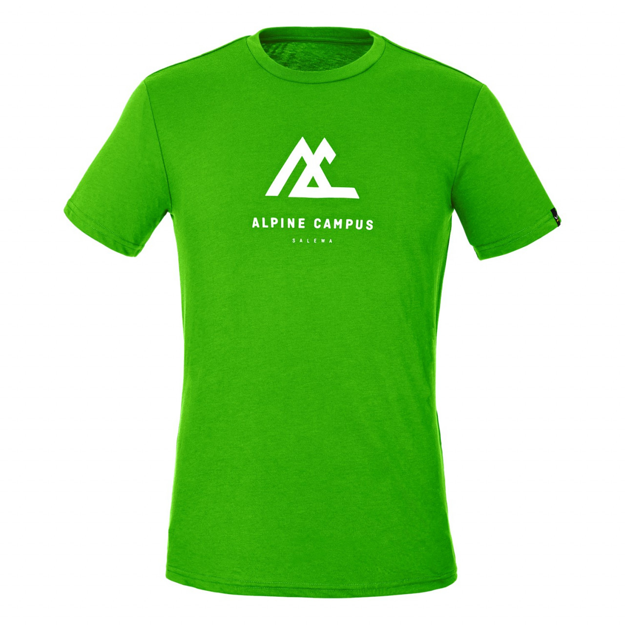 Camisetas Hombre Chile - Salewa Geometric Dry Short Sleeve - Verde - PUEH-40268